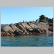 29. aalscholvers op de rotsen bij de zeehonden.JPG